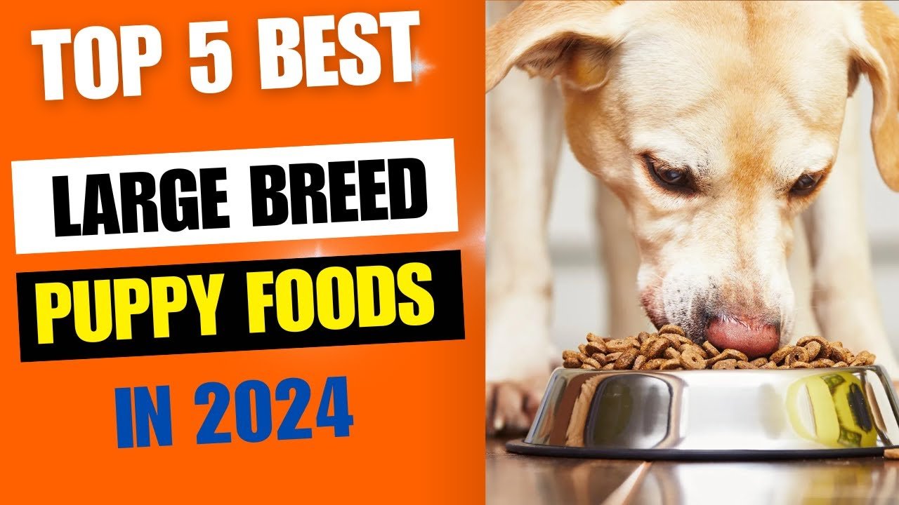 Top 5 Best Large Breed Puppy Foods 2024 | Best Puppy Food for Large ...